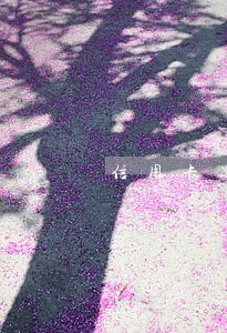 信用卡逾期 银行催款恶意 信用卡逾期 银行催款恶意